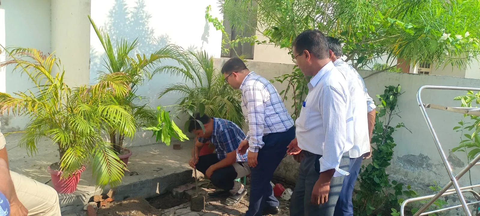 भातखण्डे विवि में विश्व पर्यावरण दिवस पर हुआ क्षारोपण