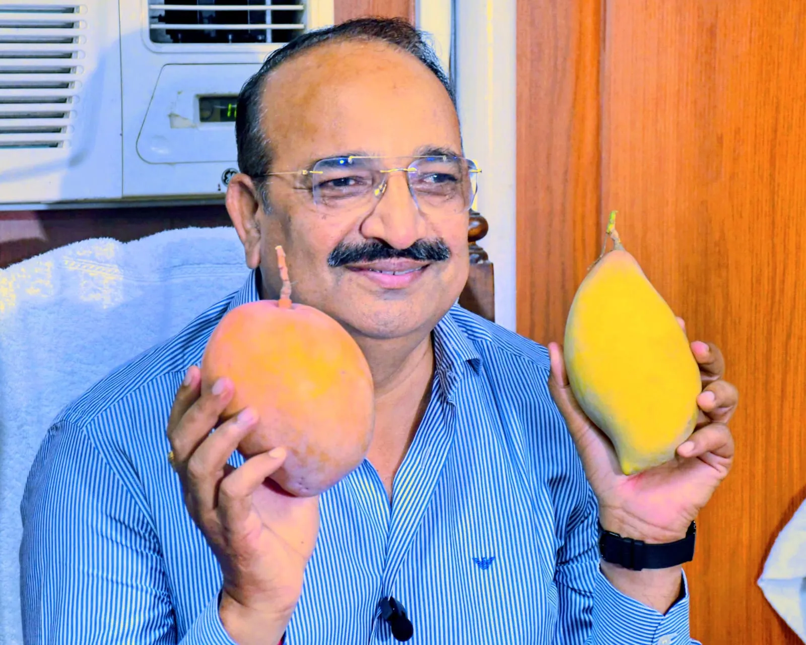 स्वाद और समृद्धि का प्रतीक आम महोत्सव 3 जुलाई से  