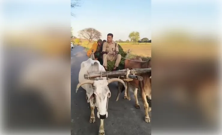 महोबा: सीओ रविकांत गौड़ ने हांकी बैलगाड़ी, लोगों को भा रहा साहब का देशी अंदाज