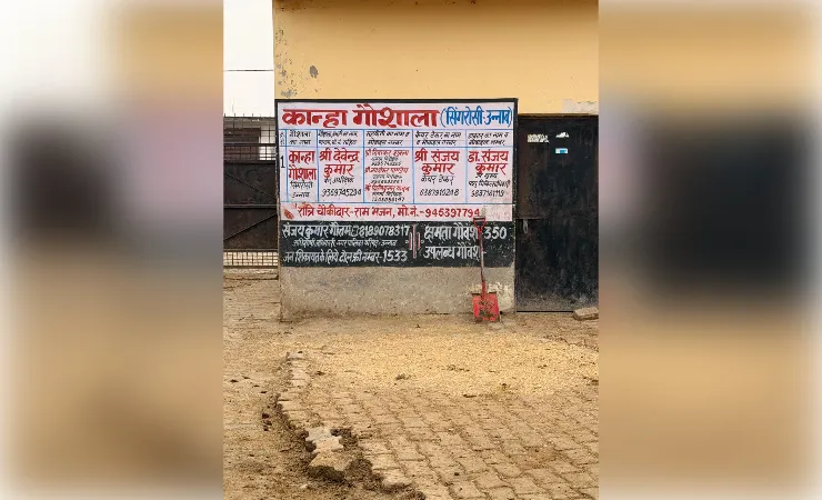 कान्हा गौशाला की बदहाली पर गौसेवक का बड़ा आरोप, सीवीओ को शिकायत के बाद भी नहीं हुआ सुधार