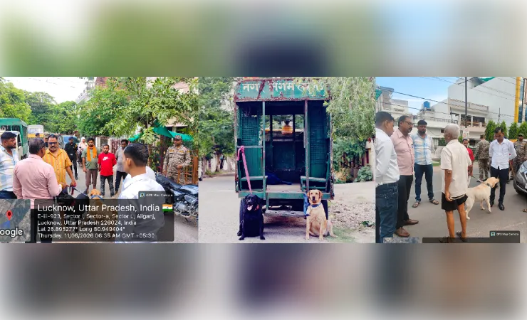 बिना लाइसेंस श्वान पालने वालो पर नगर निगम की सख्त कार्रवाई, 20 हजार वसूला जुर्माना