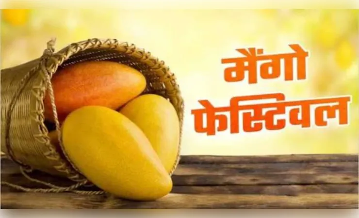स्वाद और समृद्धि का प्रतीक आम महोत्सव 3 जुलाई से, वैश्विक स्तर पर होगी ब्रांडिंग