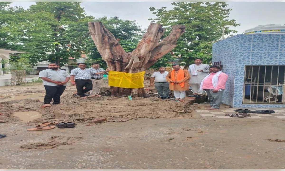 12 वर्ष पुराने पीपल के वृक्ष को मिला नया जीवन, विकास खंड परिसर में किया गया पुनर्स्थापित