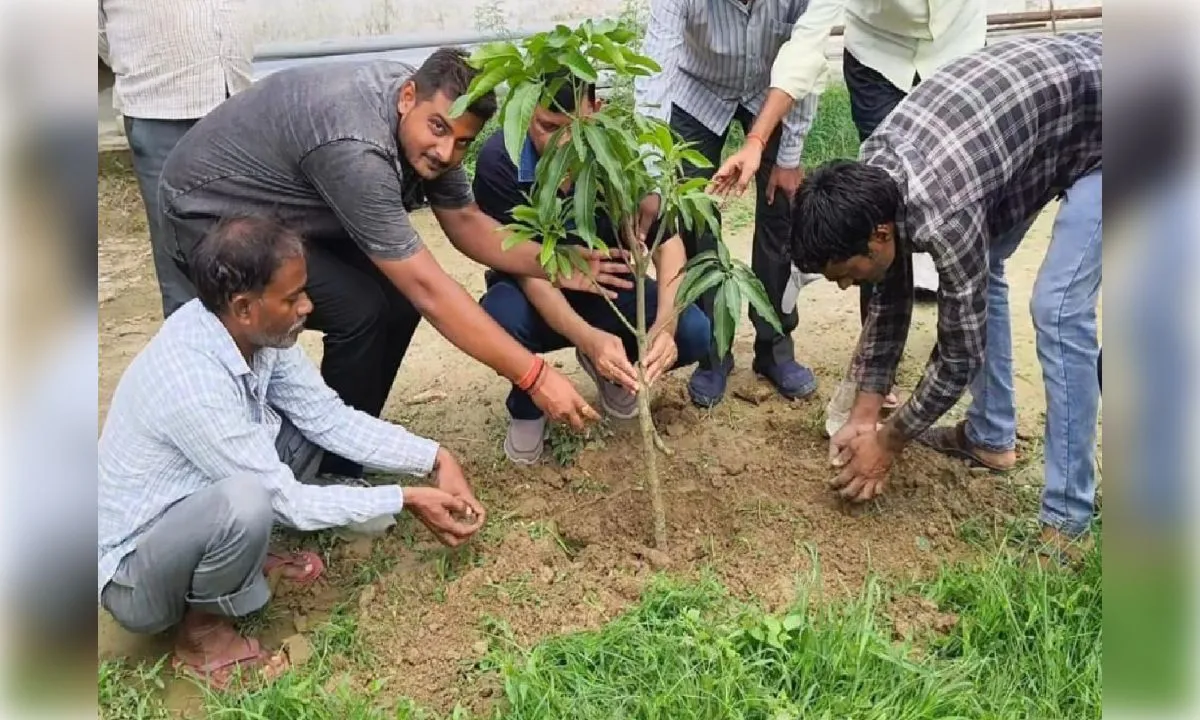 विजय मेमोरियल स्कूल ने रोपा हरियाली का बीज, पौधरोपण कर लिया पर्यावरण संरक्षण का संकल्प