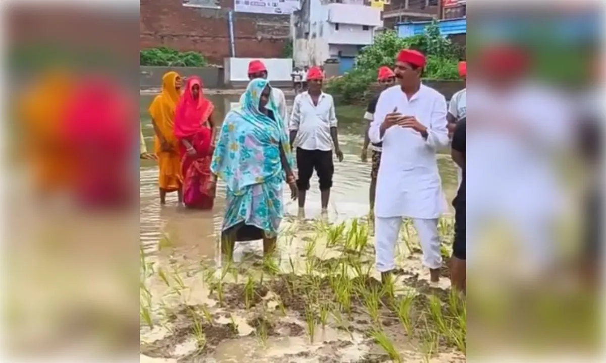 रुद्रपुर बस स्टेशन में जलभराव के विरोध में सपा नेता ने राेपा धान