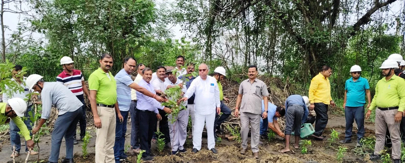 बजाज चीनी मिल रुधौली के द्वारा गेट से लेकर केंद्र तक चलाया गया वृहद वृक्षारोपण अभियान