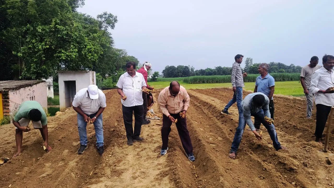 मानसून सत्र गन्ना बुवाई का हुआ भव्य शुभारंभ 