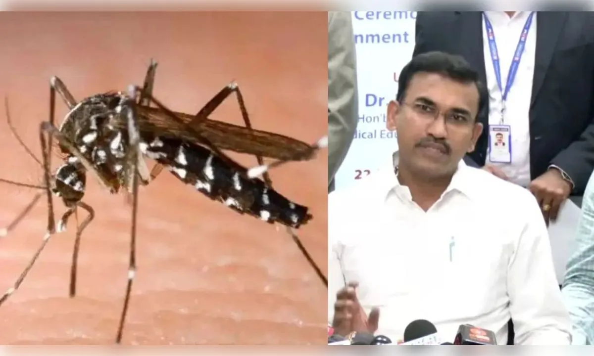 तमिलनाडु में डेंगू का बढ़ा खतरा, 9 हजार मामले मिलने के बाद सरकार अलर्ट