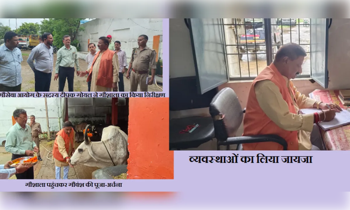 कान्हा गौशाला में मिले 218 गोवंश, पांच बीमार; बेहतर उपचार के निर्देश