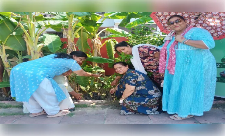 मुरादाबाद में हरित पहल, पौधारोपण अभियान से कॉलोनी को बनाया जा रहा हरा-भरा