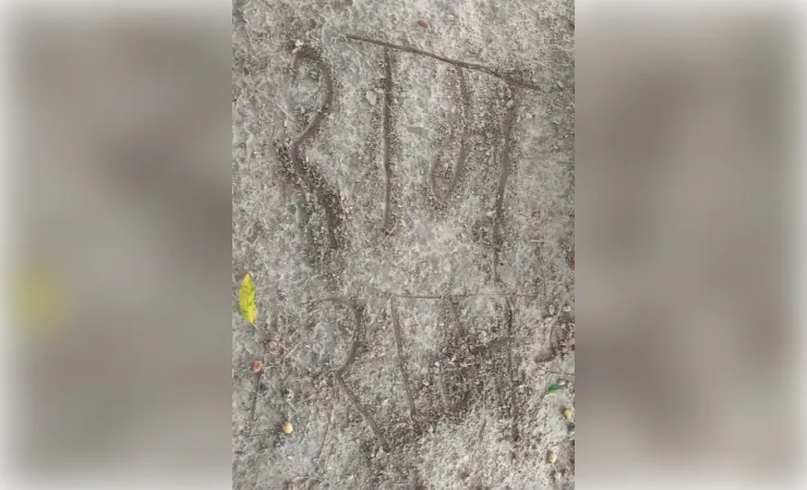 मिट्टी पर 'राम-राम' लिखने के बाद युवक ने बाग में फंदा लगाकर दी जान