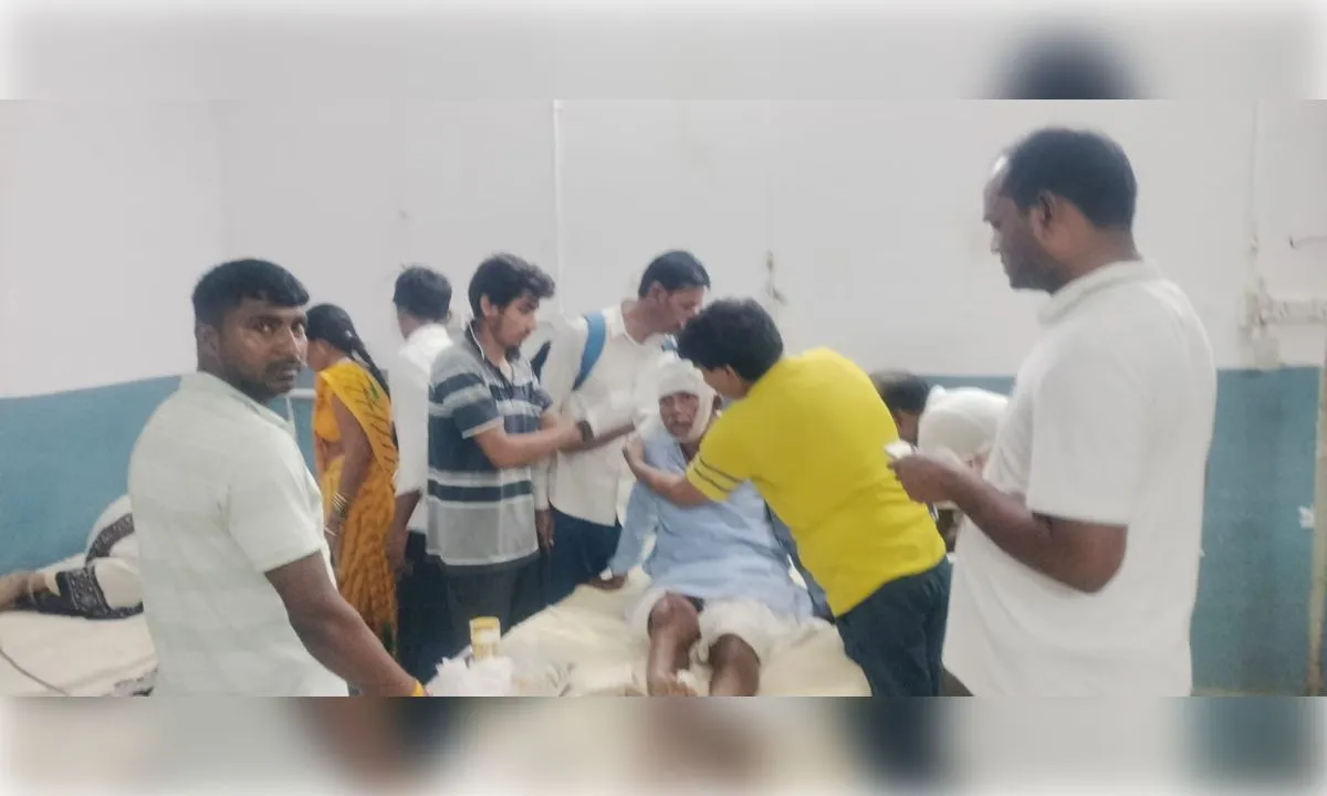 टूरिस्ट क्रूजर हादसा: टायर फटने से बिजली के खंभे से टकराई गाड़ी; 12 यात्री घायल