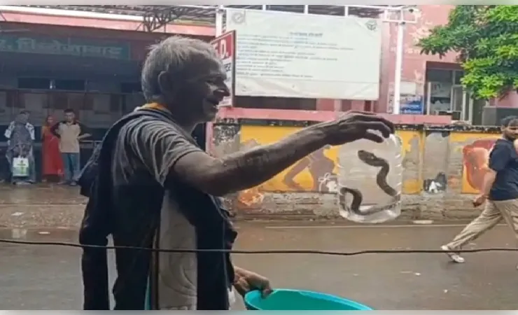 सांप ने काटा तो घायल युवक के साथ सांप को भी अस्पताल लेकर पहुंचे ग्रामीण, सब हैरान
