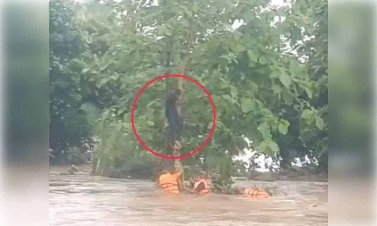 गुजरात में भारी बारिश ने मचाई तबाही, नवसारी में करंट से तीन मजदूरों की मौत