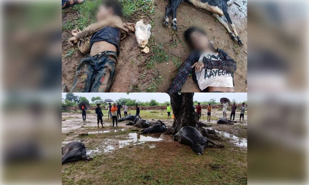 शिवपुरी में आकाशीय बिजली का कहर, दो नाबालिग चरवाहों समेत 25 मवेशियों की मौत
