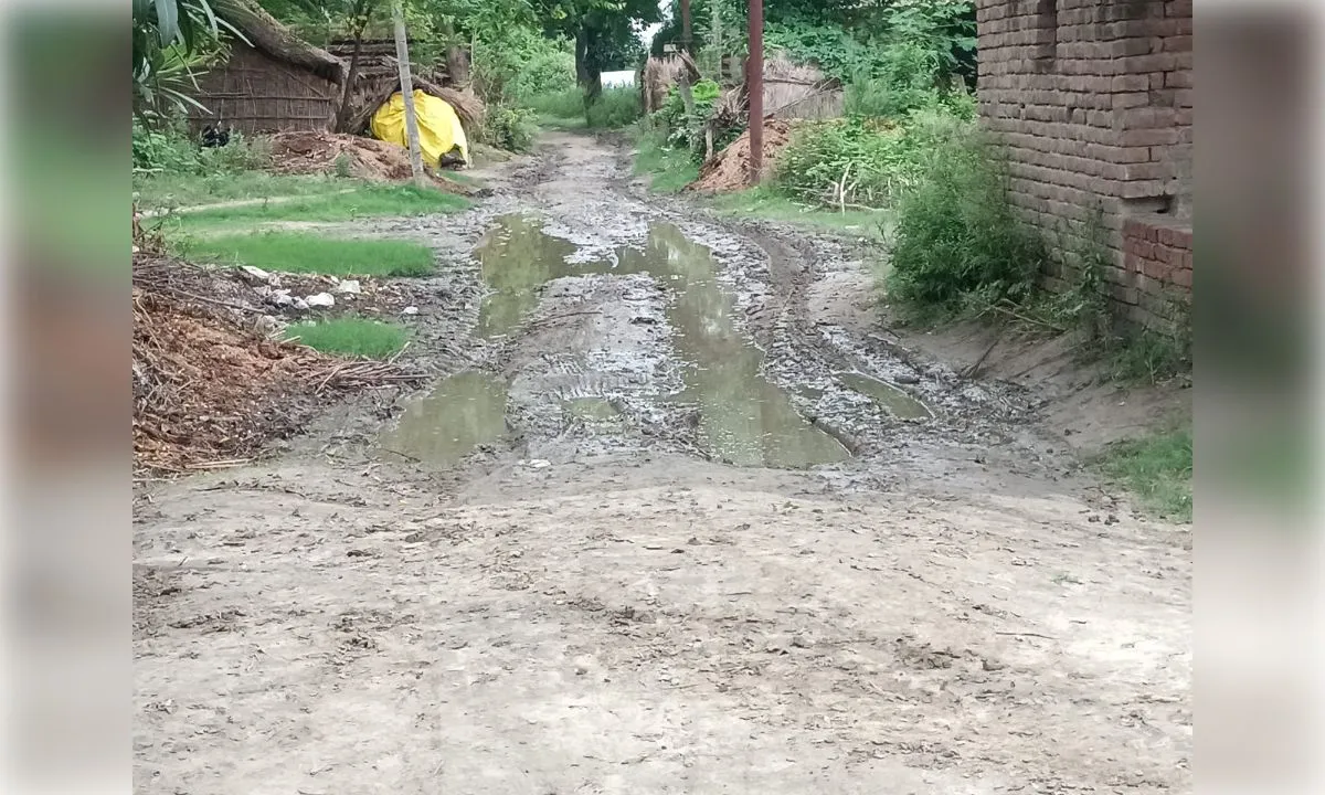 कच्ची सड़क से ग्रामीण परेशान, जिलाधिकारी से पक्की सड़क निर्माण की लगाई गुहार