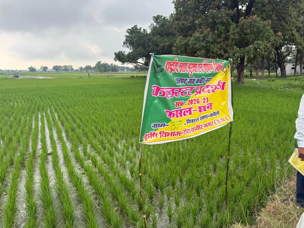  राष्ट्रीय खाद्य सुरक्ष अंतर्गत धान के क्लस्टर प्रदर्शन का निरीक्षण किया गया 