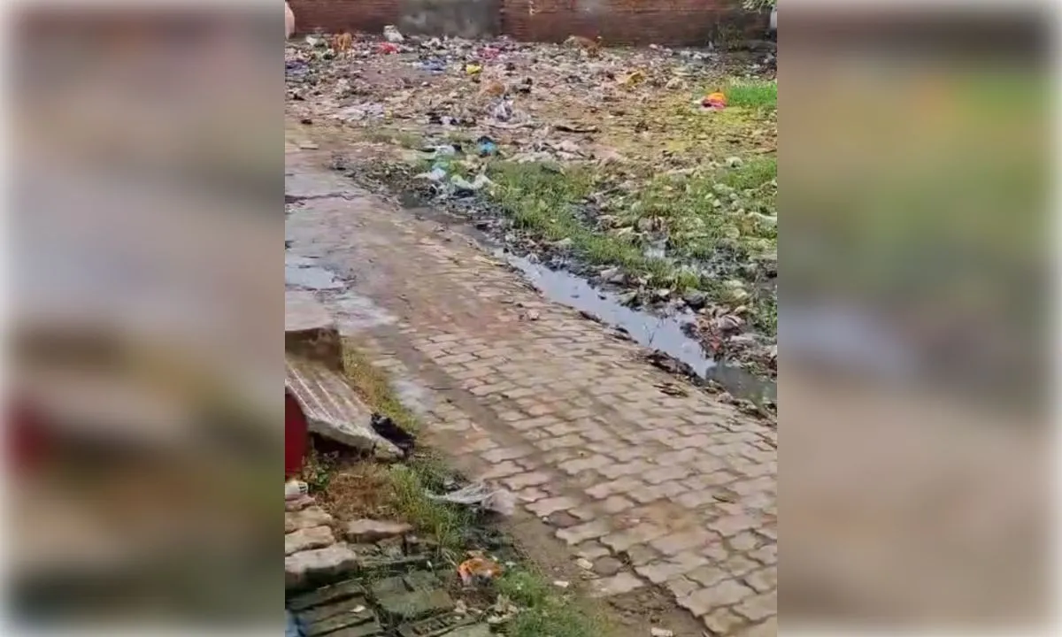 छेदीपुरवा पटेल नगर कॉलोनी में नाली के अभाव से जलभराव, गंदगी से लोग परेशान