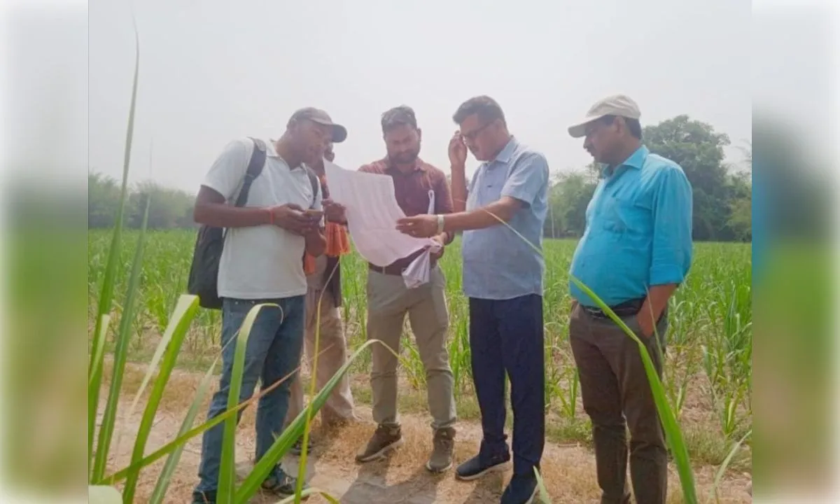 ग्राम स्तरीय गन्ना सर्वे सट्टा प्रदर्शन 20 जुलाई से शुरु, विभाग देगा योजना की जानकारी