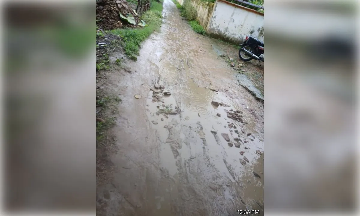 डेढ़ दर्जन गांवों की जीवनरेखा बनी बदहाल सड़क, बरसात में आवागमन ठप