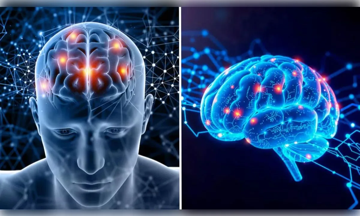 कौन सी आदतें दिमाग के रक्त वाहिकाओं को कमजोर बना रही हैं?