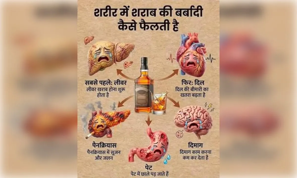  शराब लिवर ही नहीं वरन इसका असर दिल और दिमाग पर सबसे घातक  