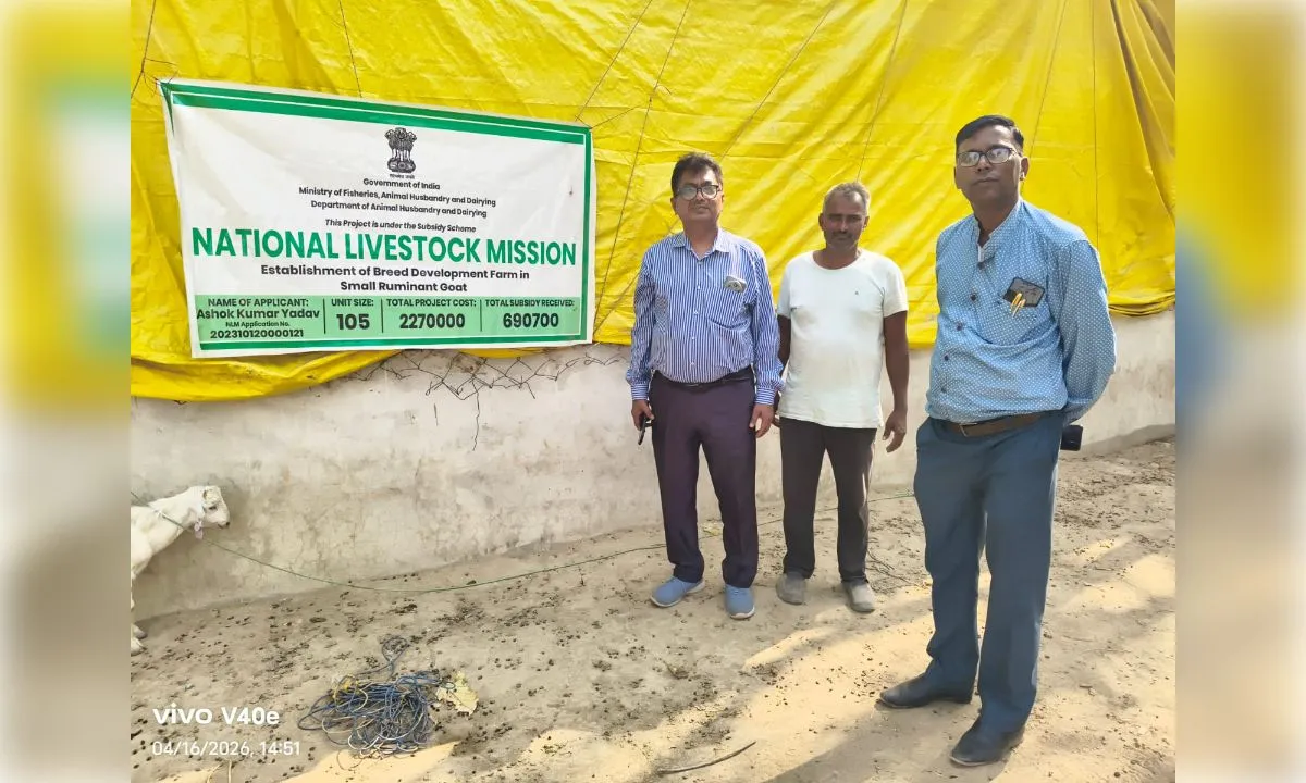 नेशनल लाइव स्टॉक मिशन से बदली किसान की तकदीर, बकरी पालन से आत्मनिर्भर बने अशोक यादव