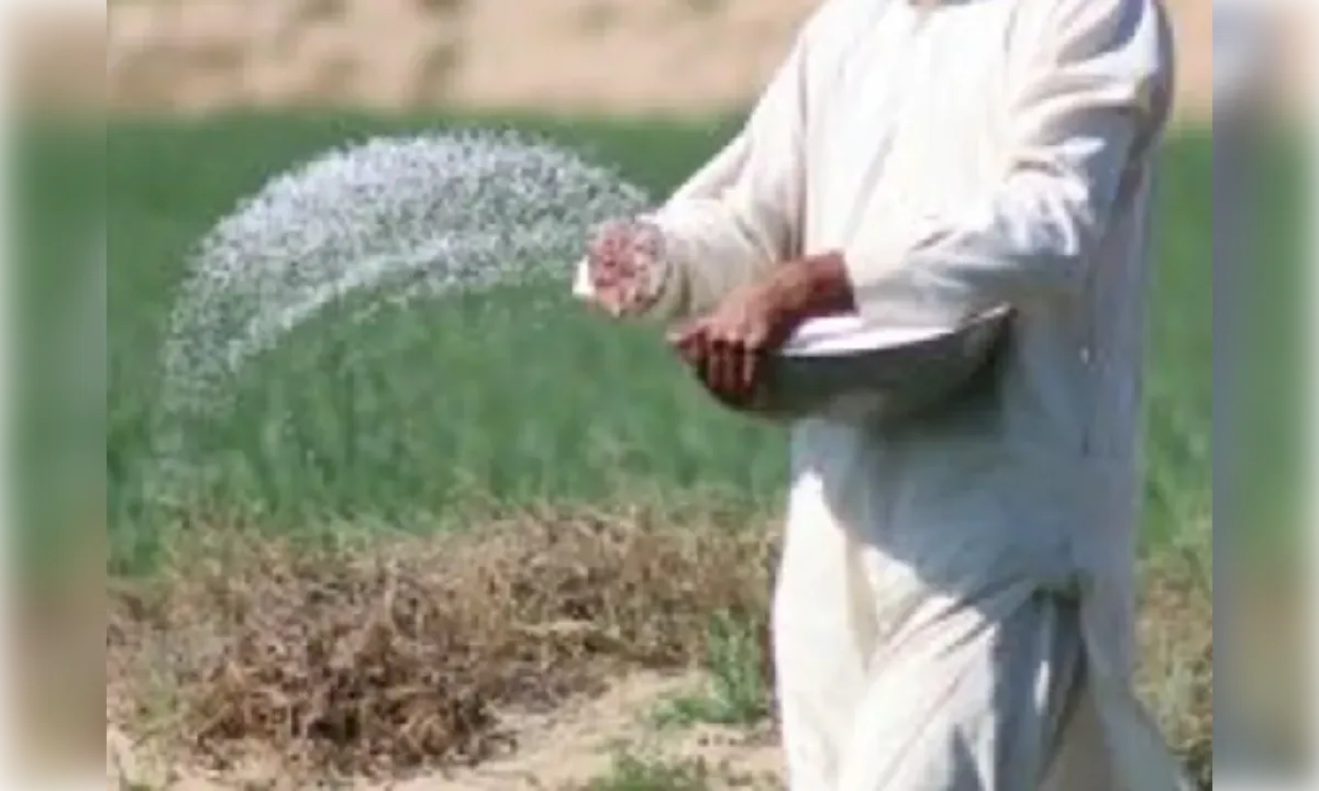गोंडा में यूरिया को लेकर अफवाह, कृषि विभाग बोला- स्टॉक पर्याप्त- लाइन न लगाएं किसान
