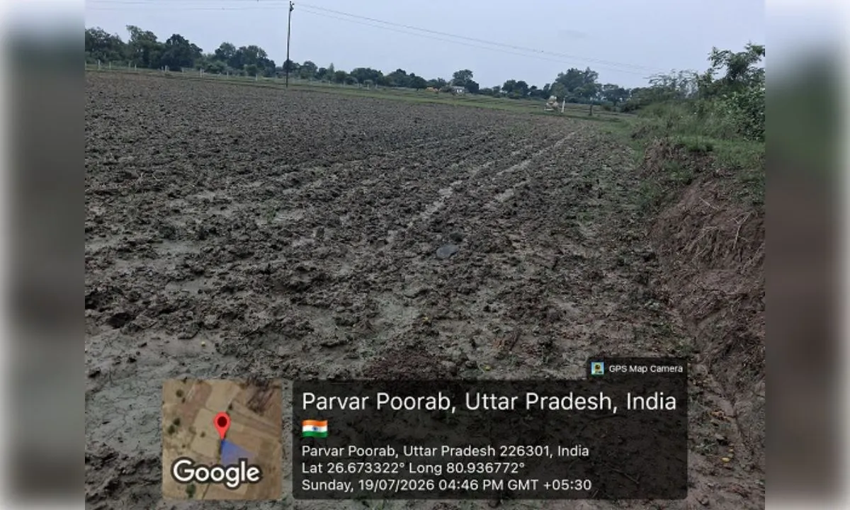 मानसून की बेरुखी से चिंता बढ़ी, धान के खेतों में पानी का संकट