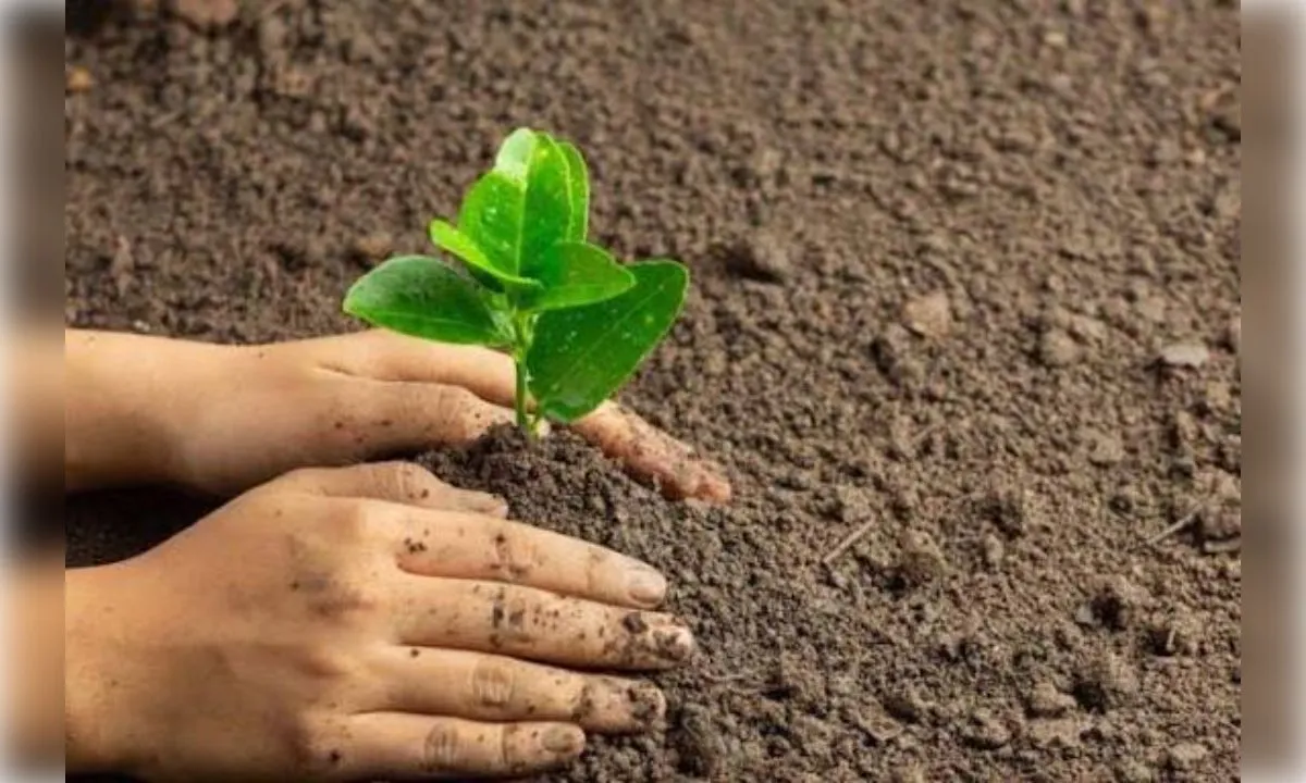 एक पेड़ मां के नाम वृक्षारोपण महाअभियान के तहत विश्वविद्यालय परिसर में पौधरोपण