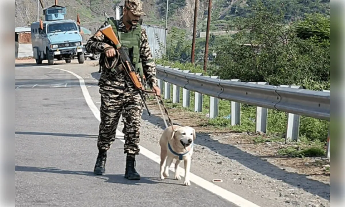 अनुच्छेद 370 बरसी पर कश्मीर में सुरक्षा कड़ी, अमरनाथ यात्रा रुकी