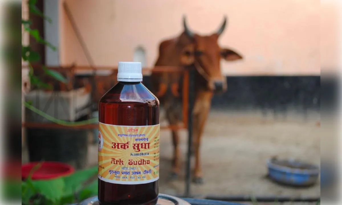 गो संरक्षण से गांवों में बढ़ेगी कमाई, 10 रुपये लीटर खरीदा जाएगा गोमूत्र