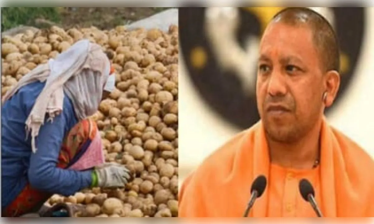आलू किसानों के लिए यूपी सरकार ने लॉन्च किया नया पोर्टल