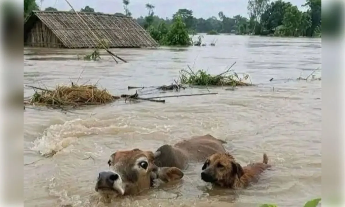 असम में बाढ़ संकट बरकरार , कुछ हिस्सों में फिर मंडराया खतरा