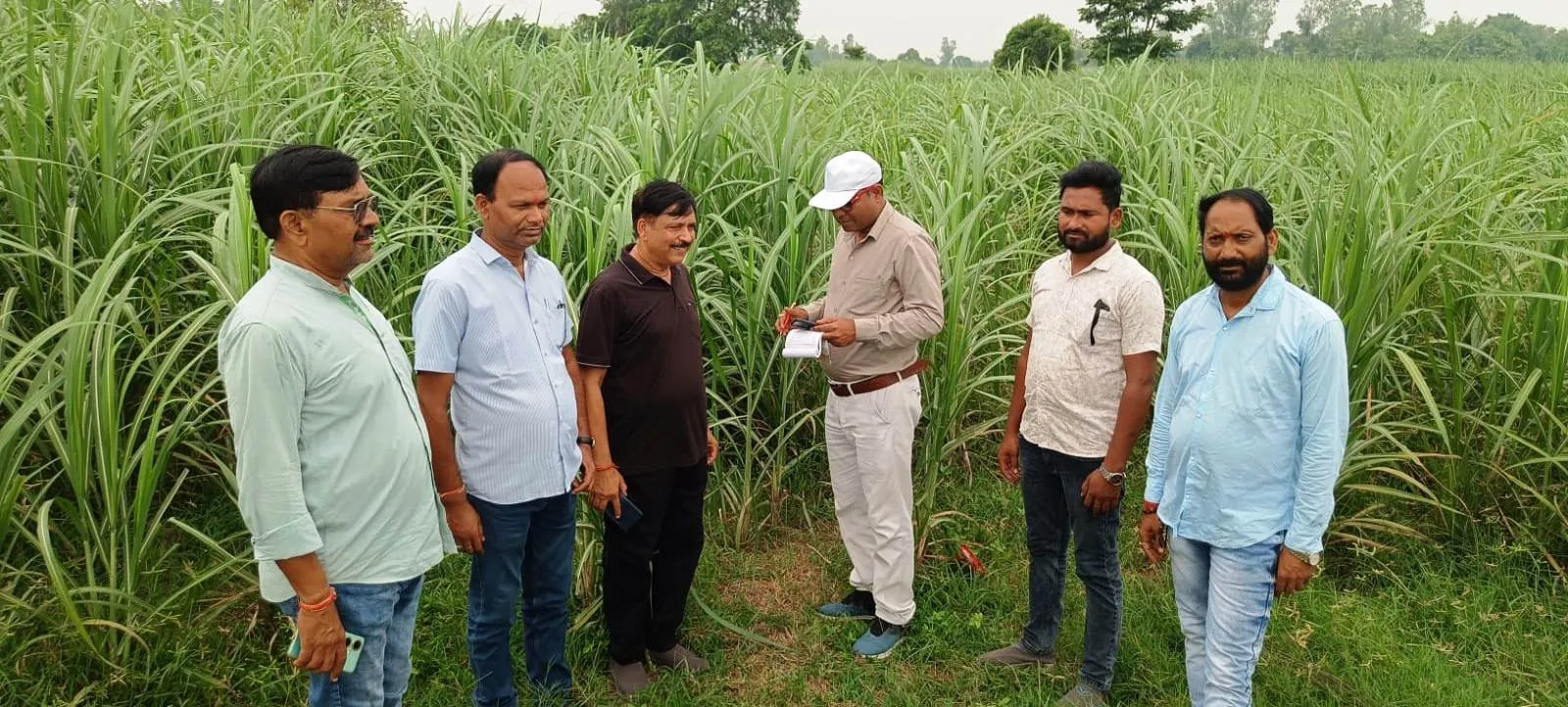 गन्ना बुवाई के साथ सा फसली की खेती अवश्य करें - मनोज चंदेल