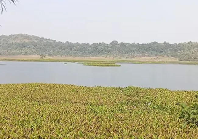  मप्र के विदिशा जिले का कागपुर क्षेत्र पक्षी कंजर्वेशन रिजर्व घोषित
