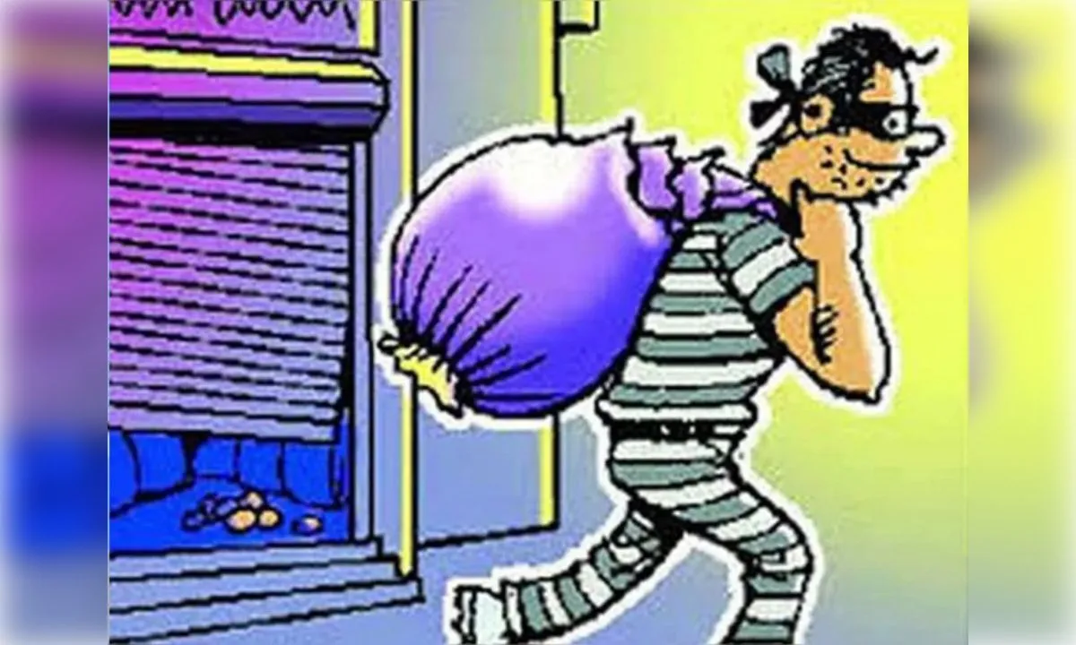 कारपेंटर की दुकान से कीमती सामान उड़ाया, आरोपी हिरासत में