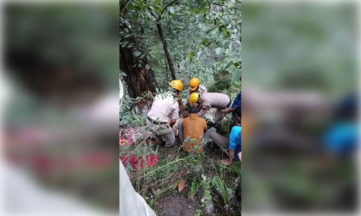 हिमाचल में बड़ा हादसा: दो युवक सवार ऑल्टो कार खाई में गिरी