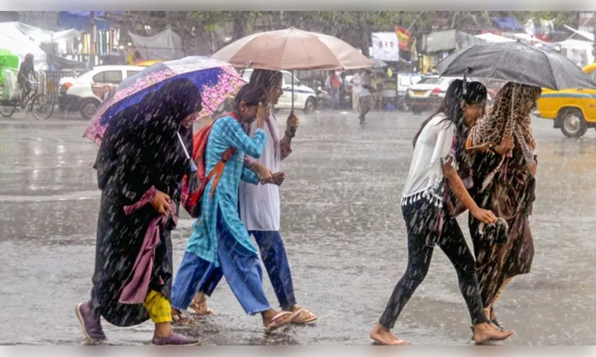 मध्य प्रदेश में फिर सक्रिय मानसून, 3 जिलों में भारी बारिश का अलर्ट