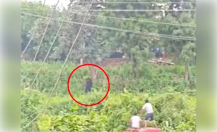 पालनपुर के हसनपुर गांव में रीछ का आतंक, लोगों में दहशत 