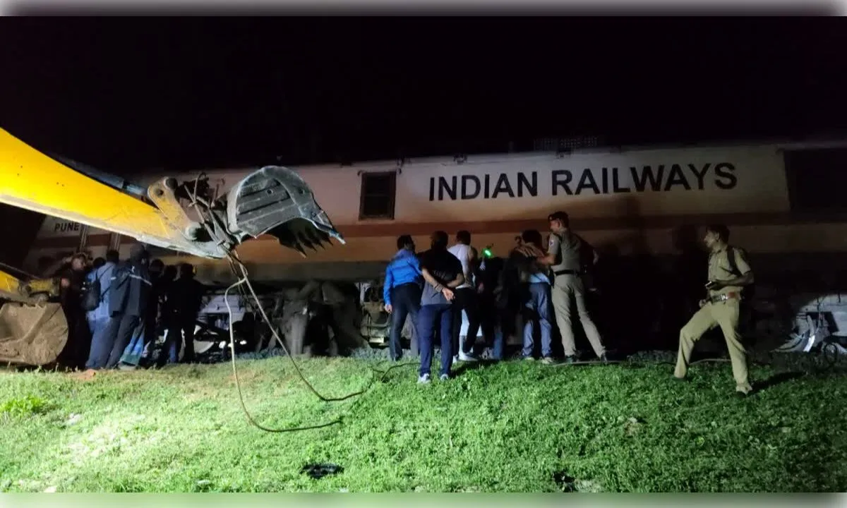 विश्व हाथी दिवस पर हादसे की चपेट में आए गज और शावक की मौत