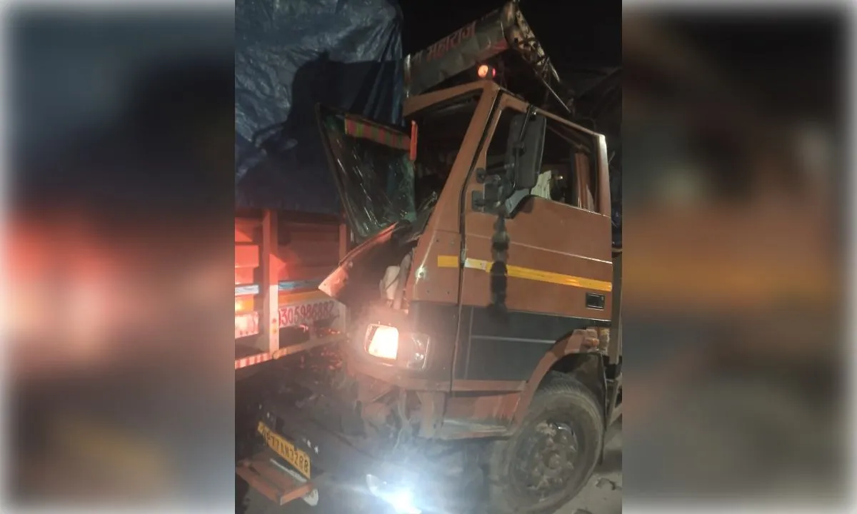 प्रतापपुर ओवरब्रिज के पास डीसीएम की टक्कर में चालक की मौत