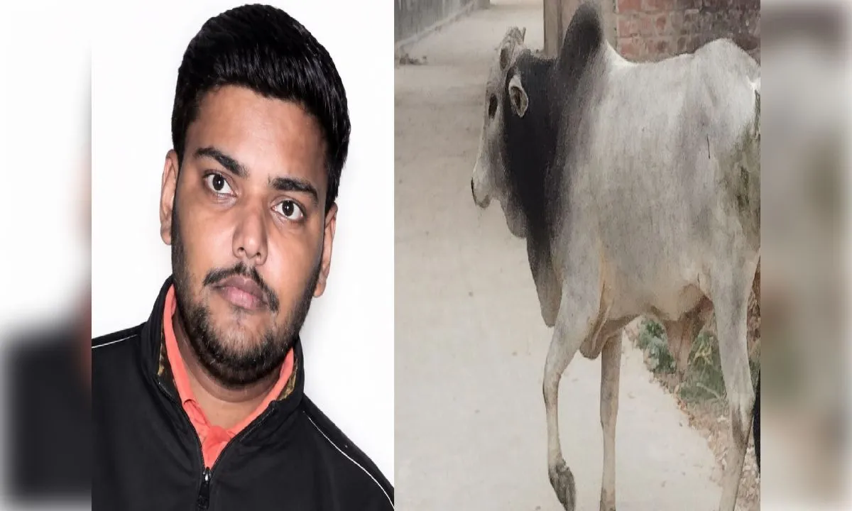 भदोही में छुट्टा सांड के हमले में घायल मां-बेटे की मौत