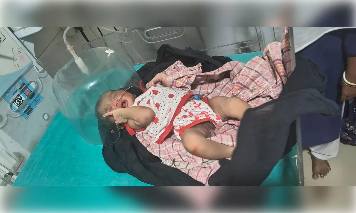 मौत के मुंह से जिंदगी को खींच लाई मां की ममता, मिली नवजात