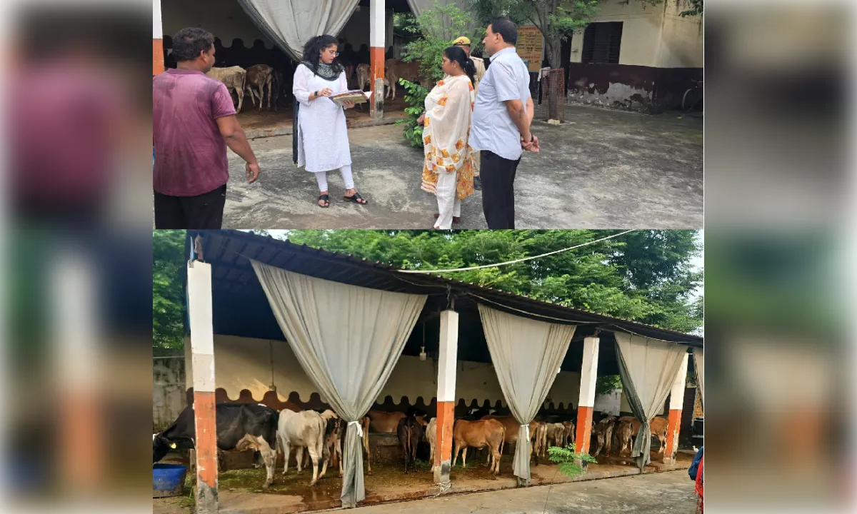 गौशाला में खाली पानी की नाद, खराब पंखे व सड़ा साइलेज देख एडीएम नाराज