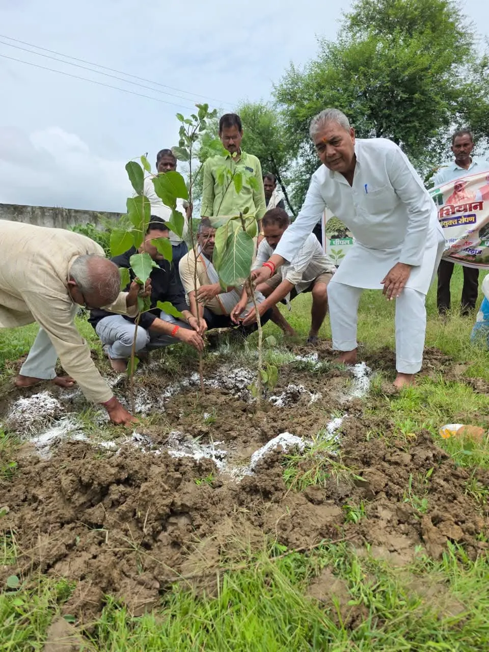 हरिशंकरी अभियान में भाजपा नेता भगीरथ नगायच ने किया वृक्षारोपण