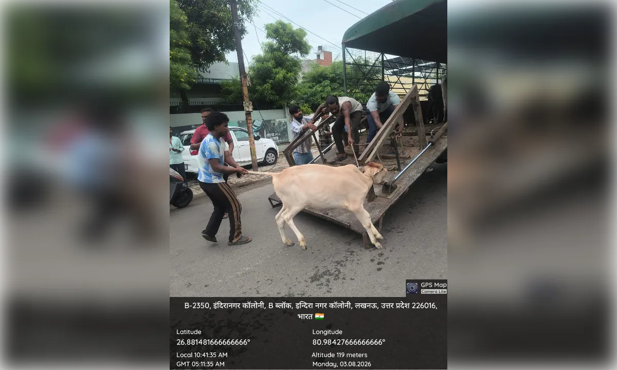 बच्ची पर हमले के बाद नगर निगम ने अभियान चलाकर पकड़े 48 छुट्टा पशु