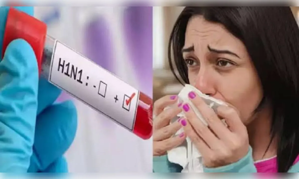 दिल्ली-एनसीआर में स्वाइन फ्लू का कहर, सभी अस्पताल अलर्ट पर