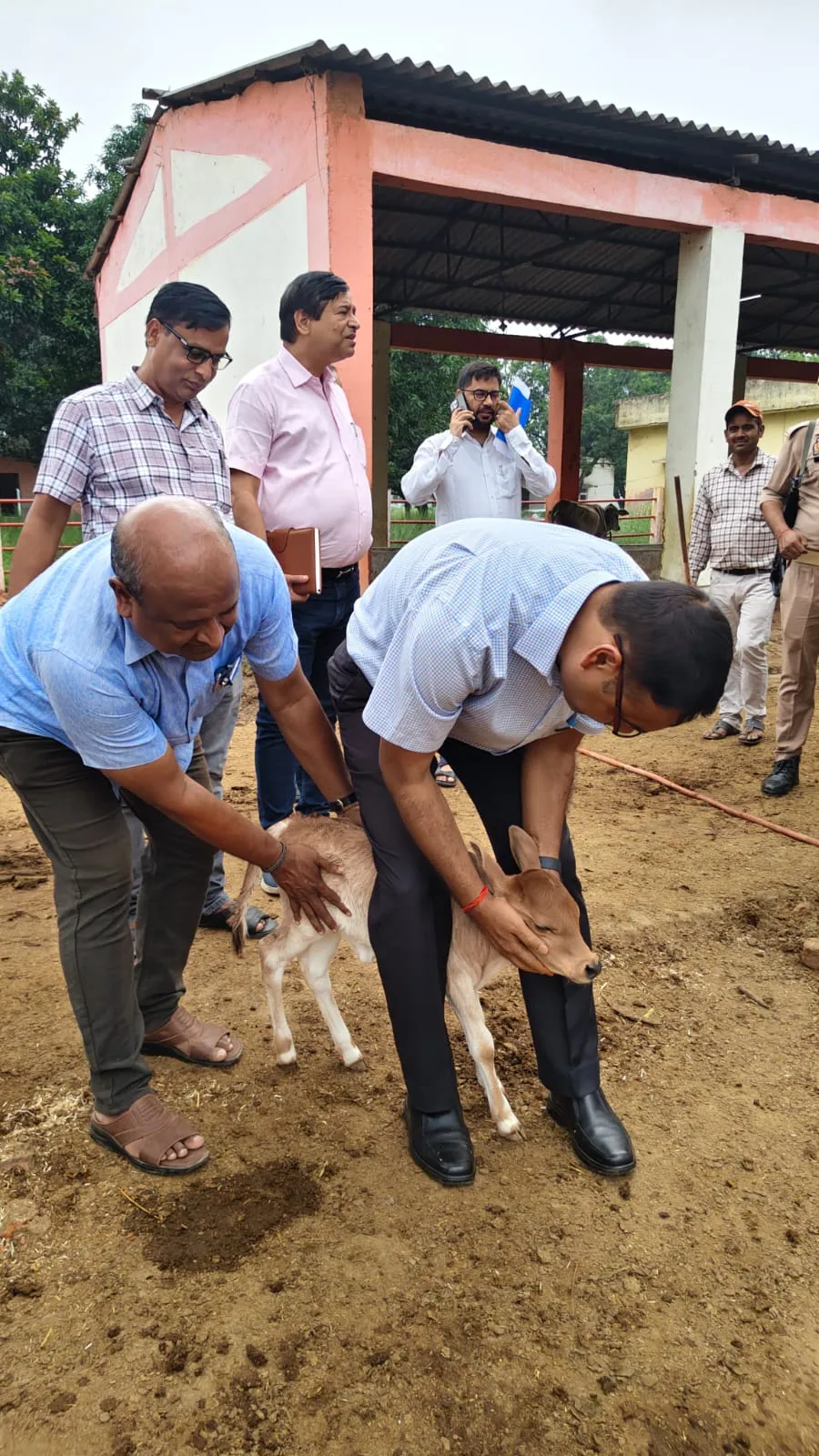 डीएम द्वारा गो-आश्रय स्थल जिगिना एवं गो-आश्रय स्थल भगौसा का किया गया निरीक्षण