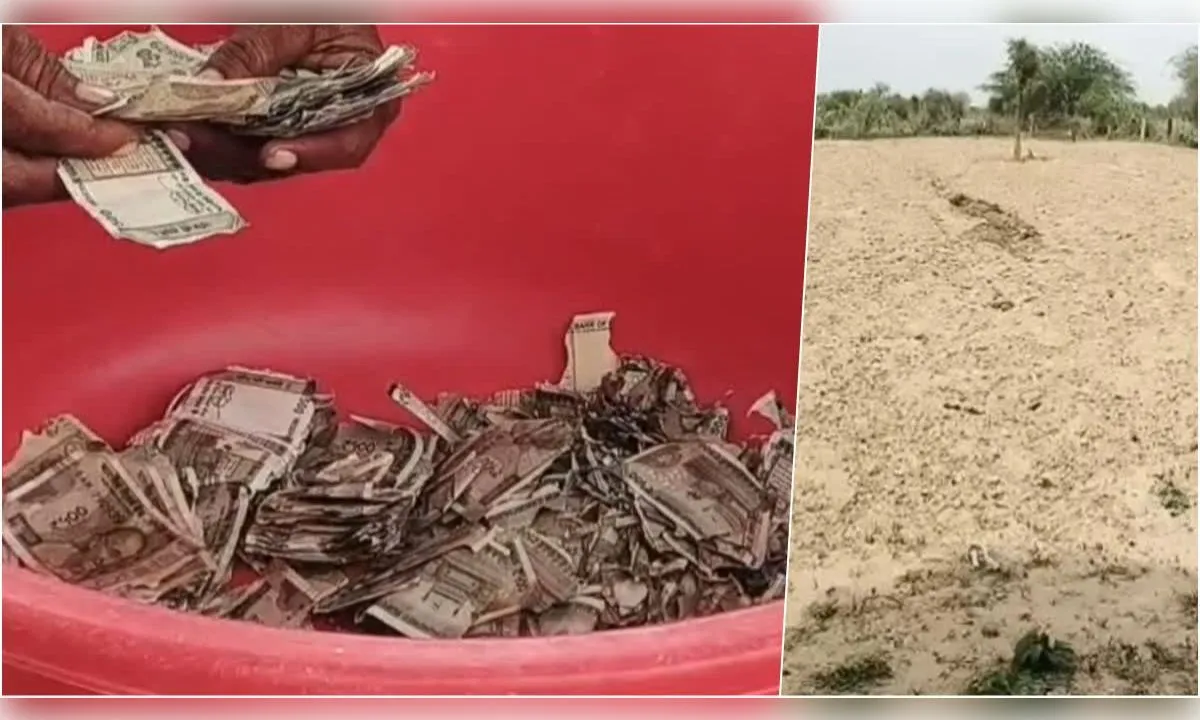  चोरी के डर से खेत में गाड़े 5 लाख, जगह भूल गया किसान